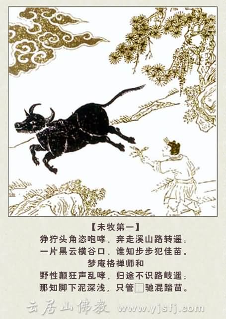 禅宗十牛圖：牧牛圖頌－－台灣學佛網