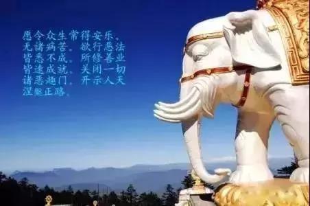 微信圖片_20191112163619.jpg